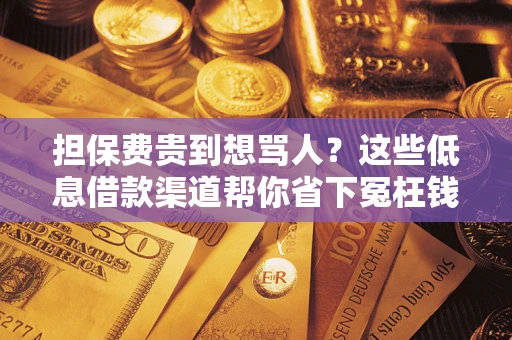 北京担保费贵到想骂人？这些低息借款渠道帮你省下冤枉钱