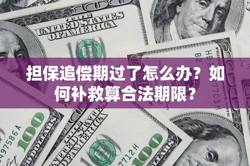 北京担保追偿期过了怎么办？如何补救算合法期限？