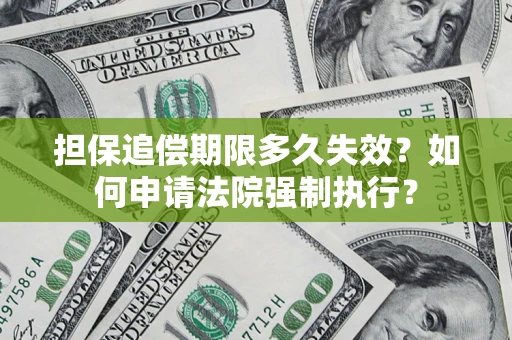 北京担保追偿期限多久失效？如何申请法院强制执行？